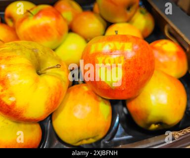 Apfel in einer ganzen Packung Äpfel mit I Love You Textzeichen darauf. Spezielle Äpfel, die zum Valentinstag angebaut werden Stockfoto