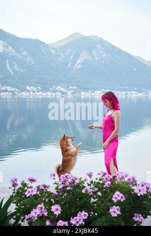 Eine spielerische Interaktion entfaltet sich, wenn eine Frau in einem rosa Kleid ihrem Shiba Inu Hund beibringt, am See zu stehen, umgeben von violetten Blumen Stockfoto