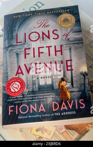 Lions of Fifth Avenue ist ein Novel von Fiona Davis, 2024, USA Stockfoto