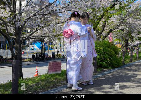 Sumida Park während der schönen Kirschblüten Saison, Tokyo Asakusa JP Stockfoto