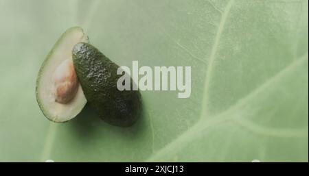 Zusammensetzung der halben Avocado über grünem Blatthintergrund Stockfoto