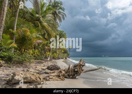 Panoramablick auf den Strand von Boca del Drago, Bocas del Toro, Panama Stockfoto