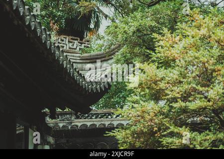 Ein flacher Blick auf ein traditionelles chinesisches Dach, das hinter üppigem Grün hinausragt. Stockfoto