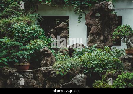 In einem felsigen Garten in Yu Garden, Shanghai, China, befindet sich ein Bonsai-Baum in einem Topf auf einem Felsen, umgeben von verschiedenen Pflanzen und großen, verwitterten Ro Stockfoto