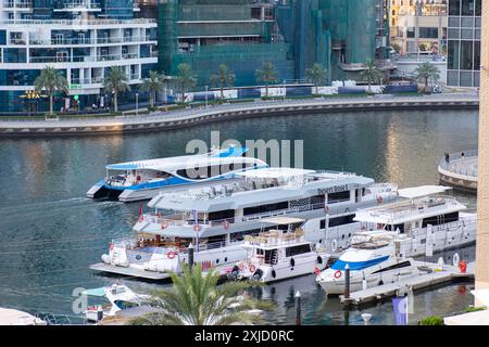 Hochwinkelansicht der Yachten, die im Yachthafen von Dubai, VAE, verankert sind. Stockfoto