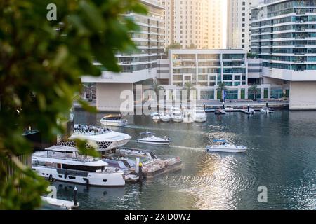 Hochwinkelansicht der Yachten, die im Yachthafen von Dubai, VAE, verankert sind. Stockfoto