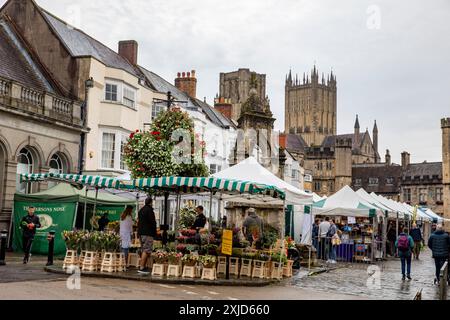 Wells Stadtzentrum in Somerset und Marktstände auf dem Marktplatz mit Blumenhändler, England, Großbritannien, 2023 Stockfoto