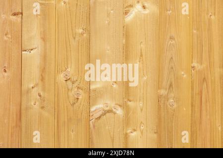 Hellbraune Holzwand auf einem Bauzaun mit Knotenlöchern, Deutschland Stockfoto