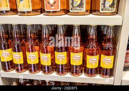 Flaschen mit leckerem Cidre der Original Cheddar Cheese Company, zum Verkauf in ihrem Geschäft in Cheddar, Somerset, England, Großbritannien Stockfoto