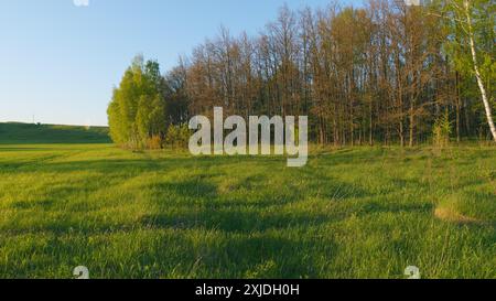 Weitsicht. Feld Des Jungen Grünen Grases Gegen Den Blauen Himmel. Wiese Und Tiefblauer Himmel. Perfekter Sommer Minimalistischer Natur Hintergrund. Stockfoto