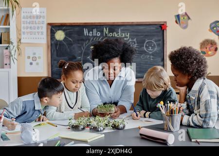 Verschiedene Gruppen von Schülern und Lehrerinnen über dem Tisch, die mikrogrüne Sprossen beobachten, das Wachstum von Pflanzen studieren und im Unterricht etwas über die Umwelt lernen Stockfoto