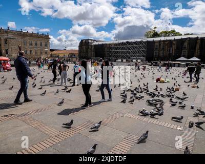 BOGOTA, KOLUMBIEN - 3. JULI 2024 - viele Touristen füttern Tauben mit Mais an einem sonnigen Tag an der Plaza de Bolivar Stockfoto