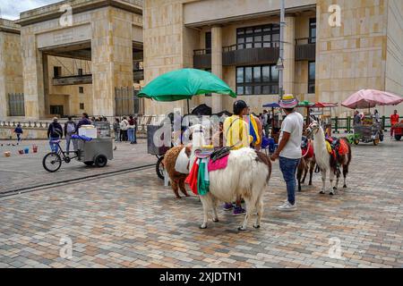 BOGOTA, KOLUMBIEN - 3. JULI 2024 - viele Touristen sind an der Plaza de Bolivar mit alpaca Lama flauschigen Tieren an sonnigen Tagen Stockfoto