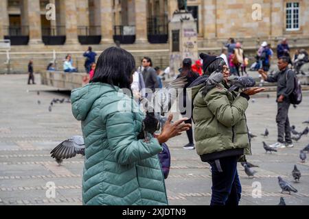 BOGOTA, KOLUMBIEN - 3. JULI 2024 - viele Touristen füttern Tauben mit Mais an einem sonnigen Tag an der Plaza de Bolivar Stockfoto