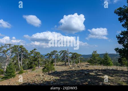 Olymp von der Stadt Omodos im Troodos-Gebirge auf Zypern gesehen Stockfoto