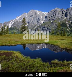 Der Hochkoenig an einem sonnigen Sommertag, blauer Himmel, Reflexion in einem kleinen Teich Mühlbach am Hochkönig Österreich Stockfoto