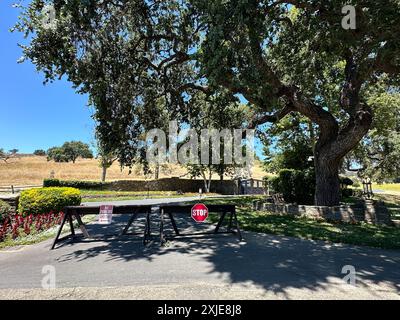 Santa Ynez, Kalifornien, USA. Juli 2024. Die Neverland Ranch wurde am 16. Juli 2024 von Feuerwehrleuten gerettet, die nach zwei Wochen nur zu 50 Prozent eingedämmt wurden. Die Ranch wurde gerettet, aber die Aussicht auf die Berge war verkohlt. (Kreditbild: © Amy Katz/ZUMA Press Wire) NUR REDAKTIONELLE VERWENDUNG! Nicht für kommerzielle ZWECKE! Stockfoto