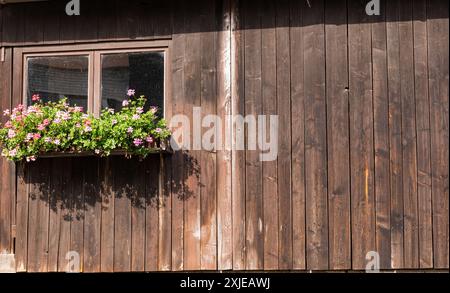Holzwand im alten Haus mit Fenster und Blumen. Alte ländliche Architektur. Braune Bretter. Außenwand aus Brettern. Stockfoto