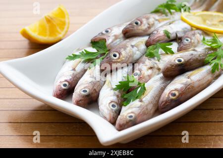 Frische, ungekochte Schellfisch-Fische in Keramikschale auf dem Tisch, roher Wittling-Fisch-Konzept Stockfoto