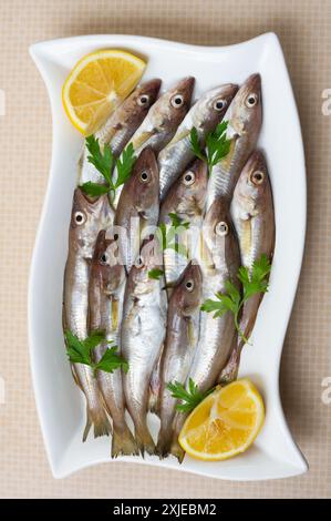 Frische, ungekochte Schellfisch-Fische in Keramikschale auf dem Tisch, roher Wittling-Fisch-Konzept Stockfoto