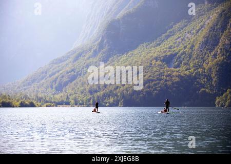 Eine Familie, Touristen mit Kindern, die den wunderschönen Bohinj-See im triglav-Nationalpark erkunden, paddeln auf dem Paddelbrett, SUP, an einem sonnigen Sommertag Stockfoto