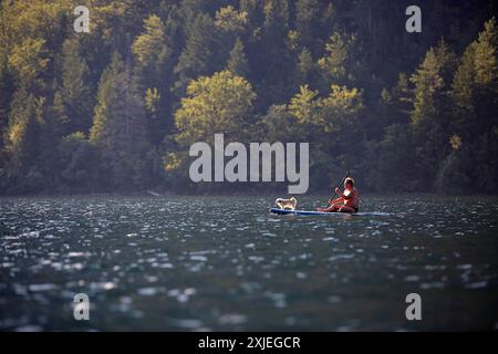 Touristen paddeln mit einem Hund auf einem Paddelbrett vor Sonnenuntergang an einem schönen Sommertag auf dem Bohinj-See im Triglav-Nationalpark in Slowenien Stockfoto