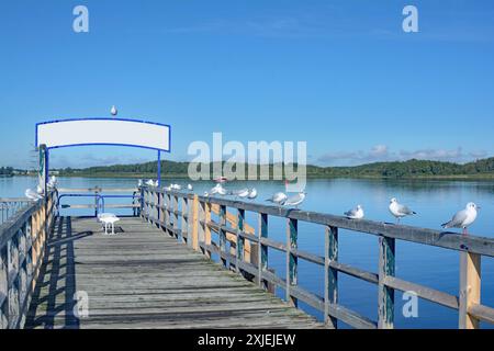 Pier von Rechlin am Müritzsee im Nationalpark Müritz, Mecklenburg-Vorpommern, Deutschland Stockfoto