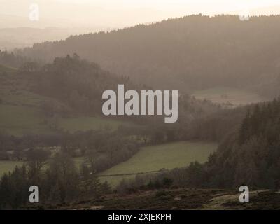 Dramatische Landschaft und Aussicht von den Stiperstones, einem freiliegenden Quarzitgrat in South Shropshire, Großbritannien Stockfoto