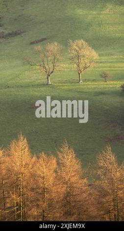 Dramatische Landschaft und Aussicht von den Stiperstones, einem freiliegenden Quarzitgrat in South Shropshire, Großbritannien Stockfoto