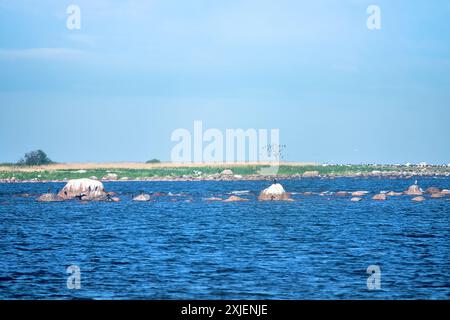 Meereslandschaft. Vogelinseln im Finnischen Golf in der Ostsee Stockfoto