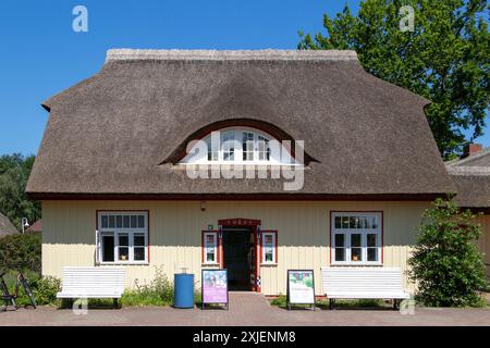 Reetdachhaus, Touristeninformation, Prerow, Darss, Mecklenburg-Vorpommern, Deutschland Stockfoto