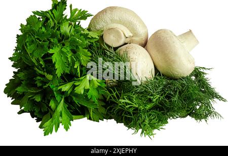 Pilze mit Petersilie isoliert auf weißem Hintergrund Stockfoto