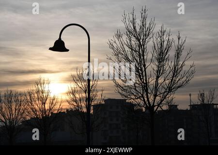 Straßenlaterne in einem Park mit Bäumen bei Sonnenuntergang Stockfoto