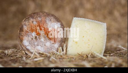 Der ganze Kopf reifer Landkäse und Scheiben auf Heu Stockfoto