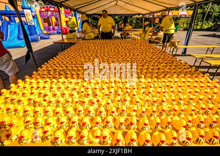 Entenrennen in Cabar, Kroatien Gummi-Enten-Rennen Quietscheentchen Plastikenten zum dritten Mal in Folge organisiert die Organisation Cuklar ein wohltätiges Rennen mit Gummienten. Fundraising Spenden 20240713pk243 es sind Gutscheine für die Adoption von Enten erhältlich 2 â. Auf jeden Coupon ist eine Nummer angebracht, die Zahl der Enten insgesamt 1500 entspricht. Vor dem Start werden alle Enten ausgestellt und jeder kann den Zustand der Ente überprüfen. Vor dem Start um 18 Uhr werden alle Enten in eine große Startbox geworfen und in den Cabranka Fluss geworfen. Ein Teil aus dem einbezah Stockfoto