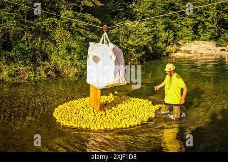 Entenrennen in Cabar, Kroatien Gummi-Enten-Rennen Quietscheentchen Plastikenten zum dritten Mal in Folge organisiert die Organisation Cuklar ein wohltätiges Rennen mit Gummienten. Fundraising Spenden 20240713pk321 es sind Gutscheine für die Adoption von Enten erhältlich 2 â. Auf jeden Coupon ist eine Nummer angebracht, die Zahl der Enten insgesamt 1500 entspricht. Vor dem Start werden alle Enten ausgestellt und jeder kann den Zustand der Ente überprüfen. Vor dem Start um 18 Uhr werden alle Enten in eine große Startbox geworfen und in den Cabranka Fluss geworfen. Ein Teil aus dem einbezah Stockfoto