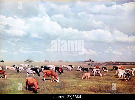 Ein Foto von Ostpreußens flacher Landschaft, einschließlich Wiesen und Getreidefeldern, aufgenommen während des Zweiten Weltkriegs vom Nazi-Regime. Diese Region wurde nach der Invasion der Nazis in Polen im Jahr 1939 bedeutsam. Die Besetzung Ostpreußens war Teil ihrer Strategie, Gebiete zu sichern und weitere Fortschritte in Osteuropa zu planen. Stockfoto