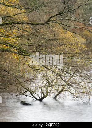 Rund um den Lake Vyrnwy im Herbst, Powys, Mid Wales, Großbritannien Stockfoto