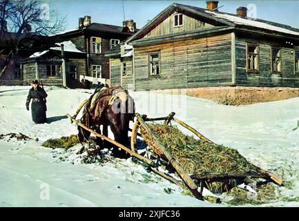 Ein Foto zeigt einen deutschen Soldaten, der ein Pferd benutzt, um Stroh durch den Schnee zu transportieren. Dieses Bild wurde während der Operation Barbarossa im Jahr 1941 aufgenommen und zeigt die Abhängigkeit von Pferden für die logistische Unterstützung in rauen Winterbedingungen, als deutsche Truppen während des Zweiten Weltkriegs gegen sowjetische Truppen an der Ostfront vorrückten. Stockfoto