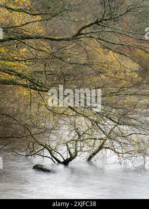 Rund um den Lake Vyrnwy im Herbst, Powys, Mid Wales, Großbritannien Stockfoto