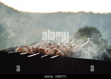 Fleischstücke werden am Spieß gegrillt. Fleischwürfel (Schaschlik) auf einem Metallstab über dem Kamin aufgespießt. Selektives Fokusbild mit Berghintergrund. Stockfoto