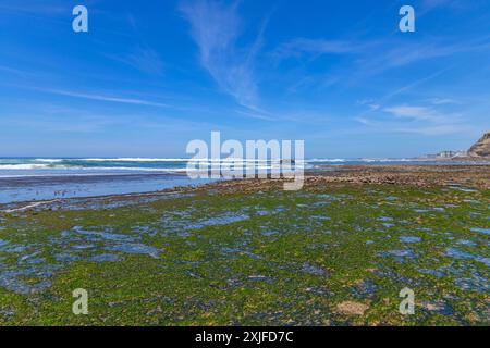 Praia do sul Beach, Ericeira, Sintra, Lissabon Küste, Portugal Stockfoto