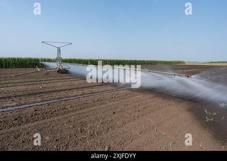 Landwirtschaftliches Bewässerungssystem zur Bewässerung des Maisfeldes am sonnigen Frühlingstag. Stockfoto