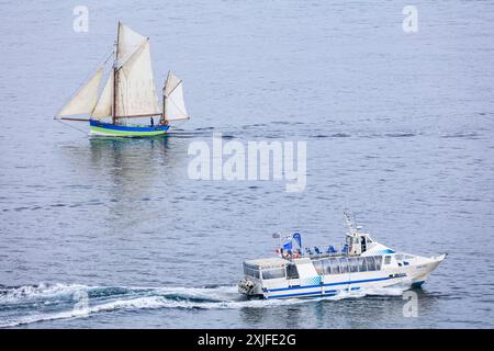 historisches Segelboot und Ausflugsboot, La Grande Parade, Fahrt der Traditionssegler von Brest nach Douarnenez zuzm Abschluß der Fetes Maritimes 2024 in Brest, gesehen vom Fort des Capucins auf der Halbinsel Crozon nahe der Einfahrt in die Bucht Rade de Brest, Gemeinde Roscanvel, Departement Finistere Penn-AR-Bed, Region Bretagne Breizh, Frankreich *** historisches Segelboot und Ausflugsboot, La Grande Parade, traditionelle Segelbootfahrt von Brest nach Douarnenez am Ende der Fetes Maritimes 2024 in Brest, vom Fort des Capucins auf der Halbinsel Crozon in der Nähe des Eingangs zum Stockfoto