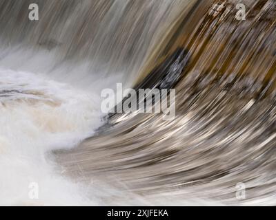 Rund um den Lake Vyrnwy im Herbst, Powys, Mid Wales, Großbritannien Stockfoto