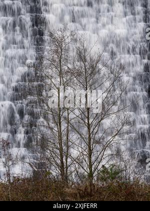 Rund um den Lake Vyrnwy im Herbst, Powys, Mid Wales, Großbritannien Stockfoto