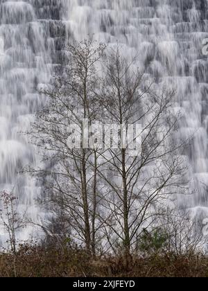 Rund um den Lake Vyrnwy im Herbst, Powys, Mid Wales, Großbritannien Stockfoto