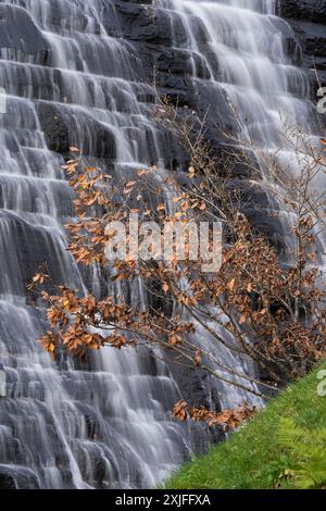 Rund um den Lake Vyrnwy im Herbst, Powys, Mid Wales, Großbritannien Stockfoto