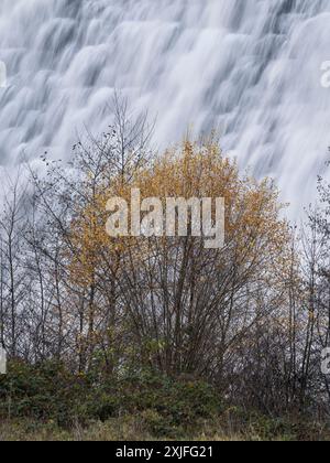 Rund um den Lake Vyrnwy im Herbst, Powys, Mid Wales, Großbritannien Stockfoto