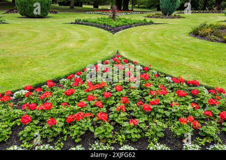 Blick auf Dirleton Castle formelles Geranium Blumenbeet, East Lothian, Schottland, Großbritannien Stockfoto